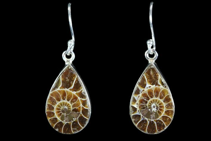 Fossil Ammonite Earrings - Sterling Silver #82262